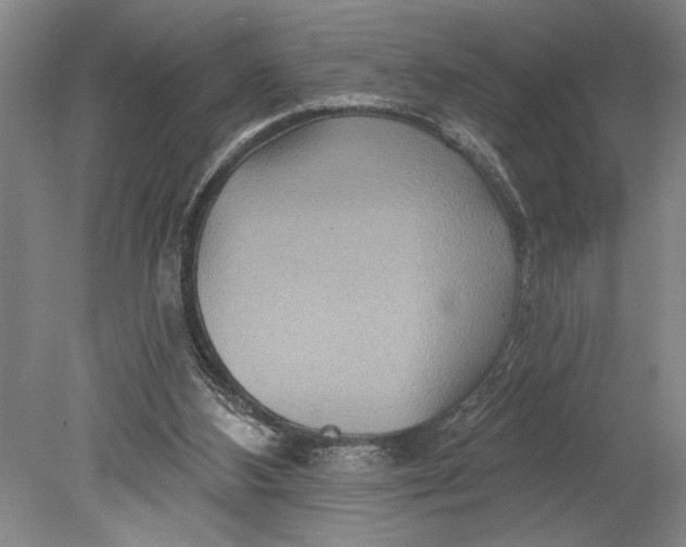 X0000080720108200701021104