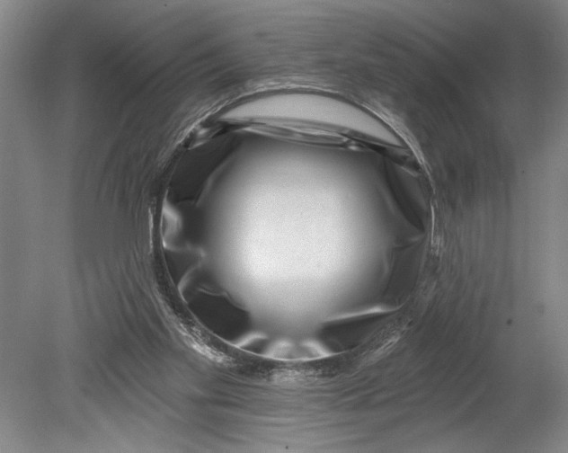 X0000080720109200701021104