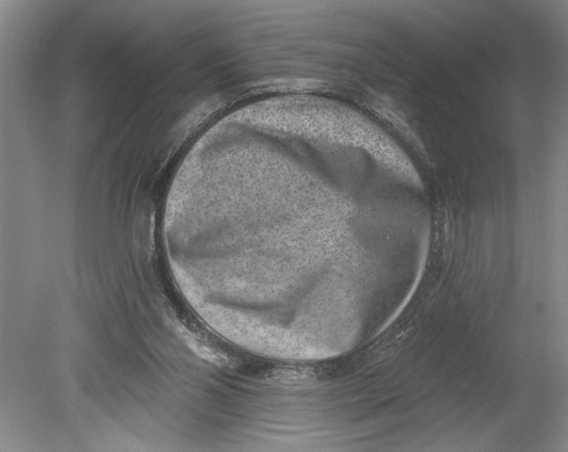 X0000080720110200701021104