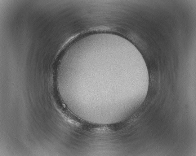 X0000080720112200701021104