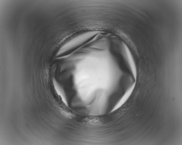 X0000080720113200701021104