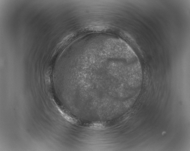 X0000080720114200701021104