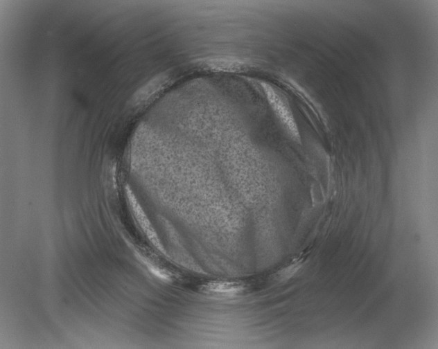 X0000080720117200701021104