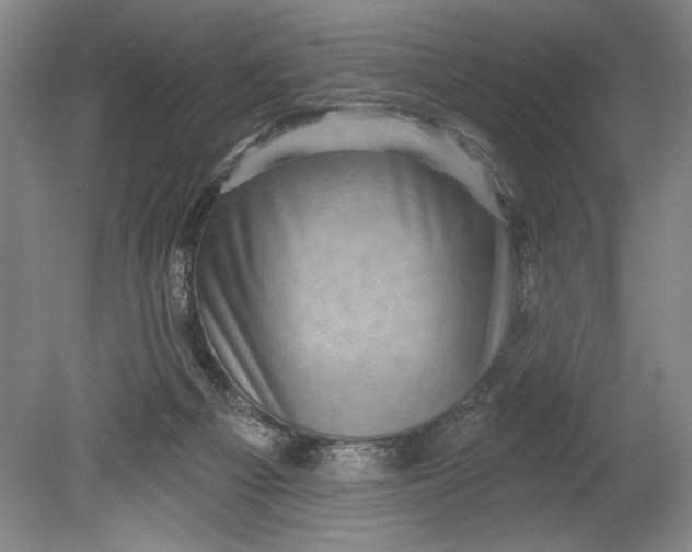 X0000080720121200701021104