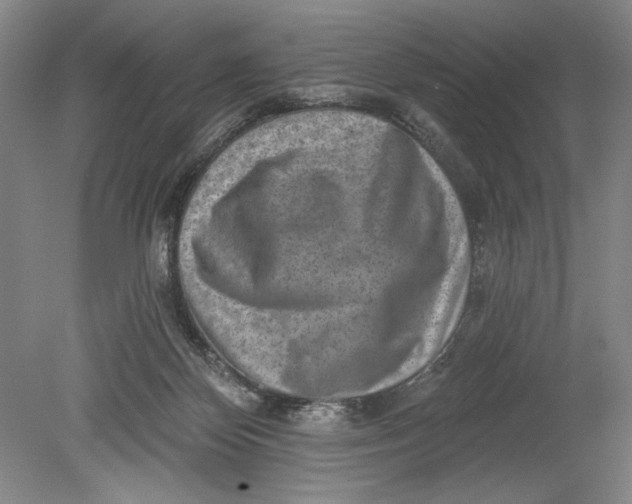 X0000080720124200701021104