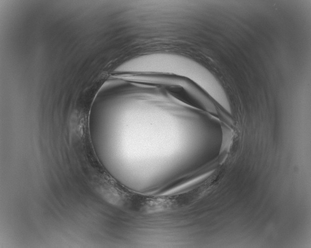 X0000080720125200701021104