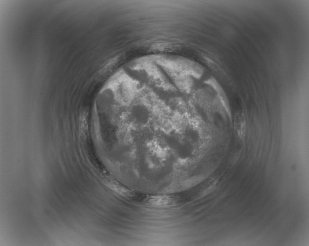 X0000080720127200701021104