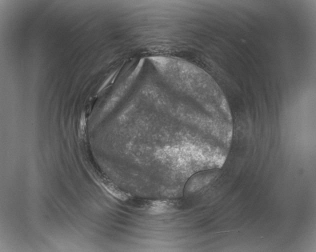 X0000080720130200701021104