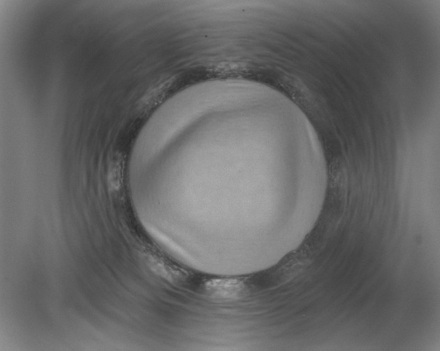 X0000080720133200701021104