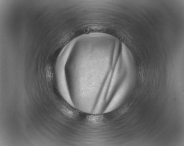 X0000080720135200701021104