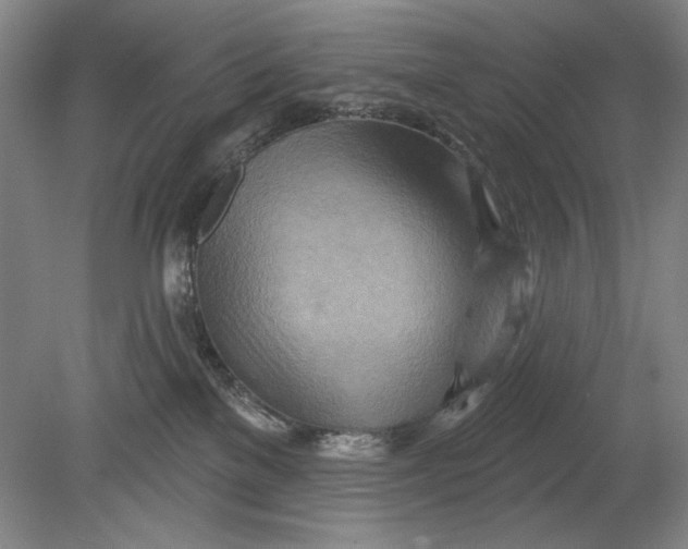 X0000080720137200701021104