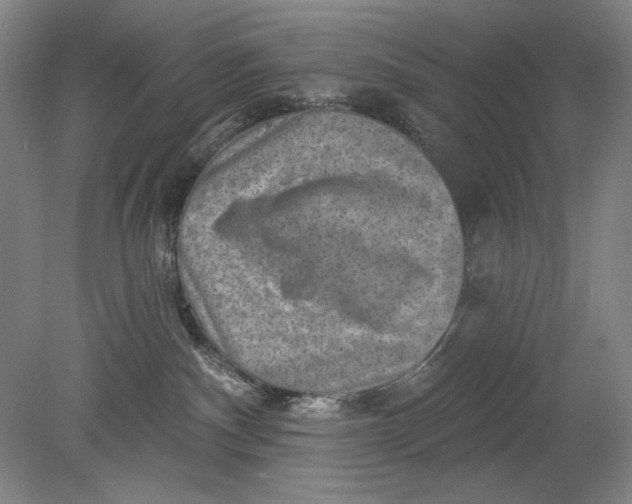 X0000080720140200701021104