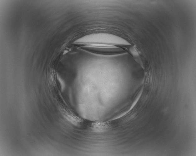 X0000080720141200701021104