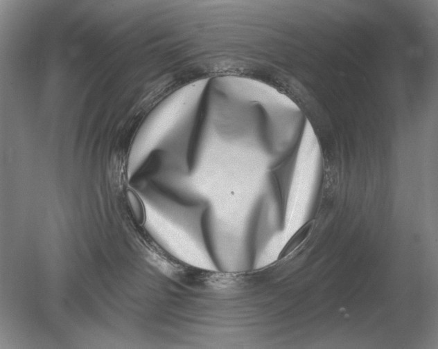 X0000080720142200701021104