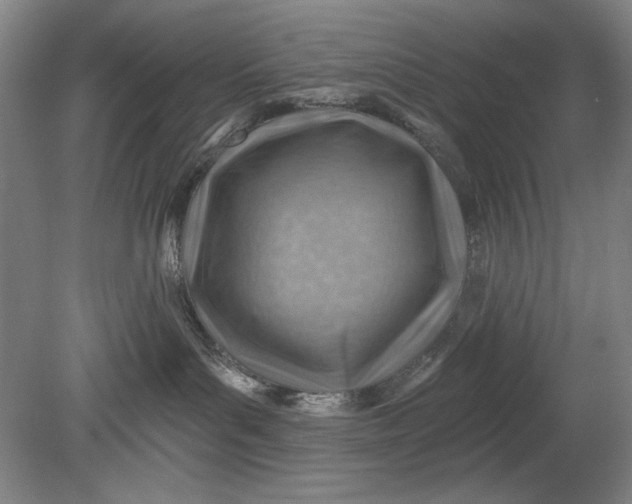 X0000080720143200701021104