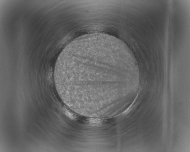 X0000080720144200701021104