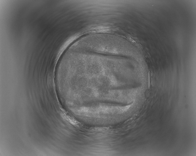 X0000080720147200701021103