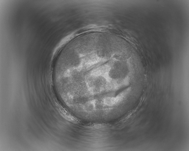 X0000080720149200701021103