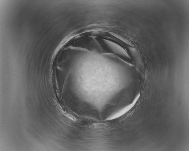 X0000080720150200701021103