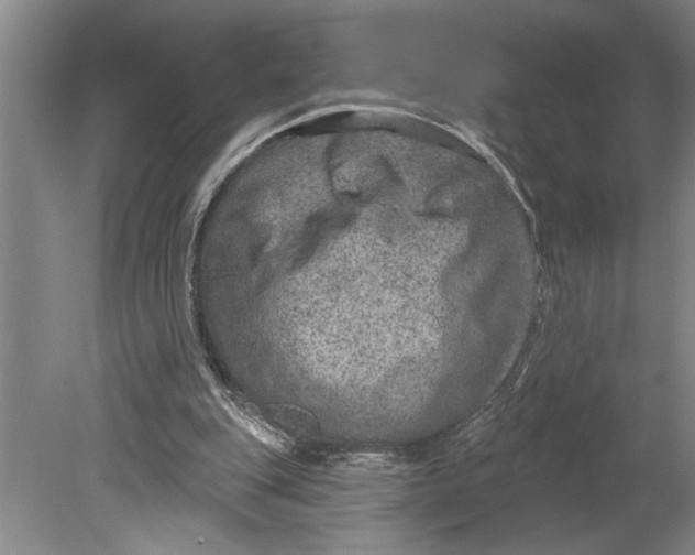 X0000080720151200701021103