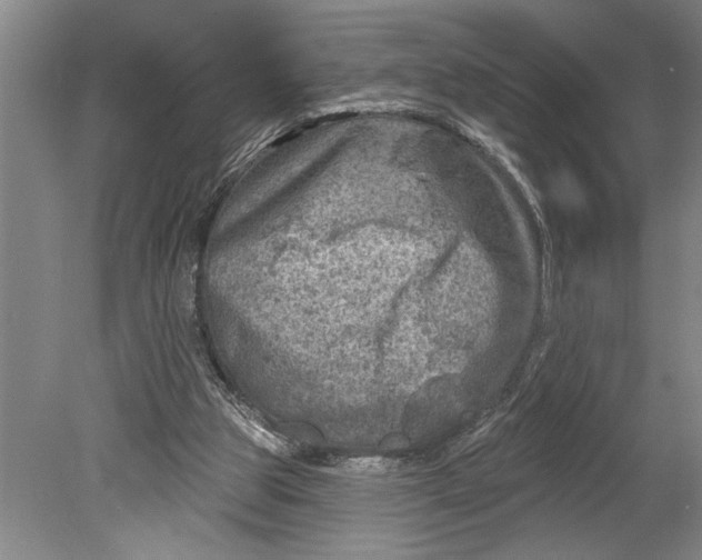 X0000080720153200701021103