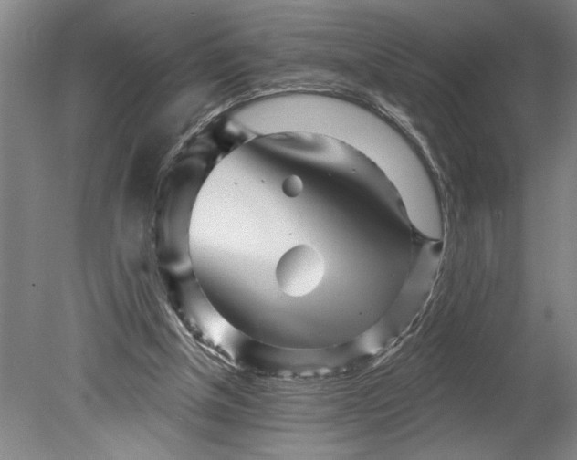 X0000080720154200701021103