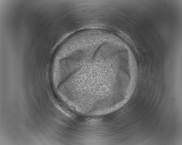 X0000080720155200701021103