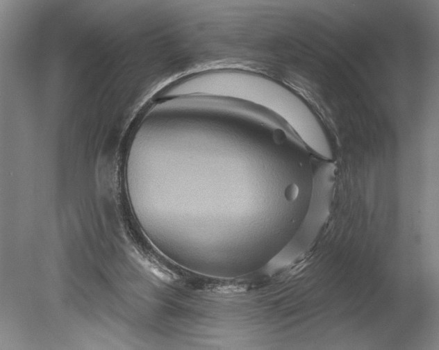 X0000080720156200701021103