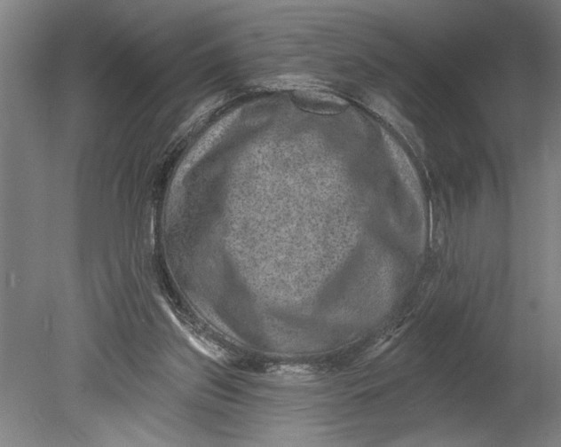 X0000080720157200701021103