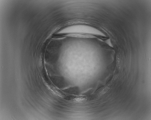 X0000080720158200701021103