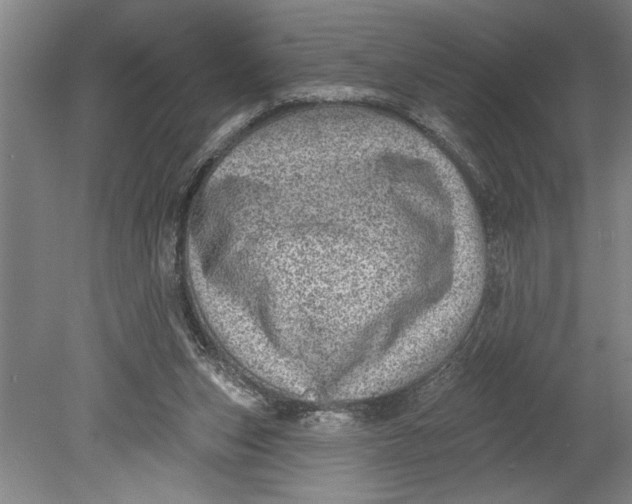 X0000080720159200701021103