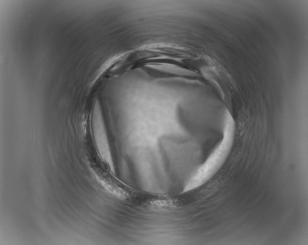 X0000080720160200701021103