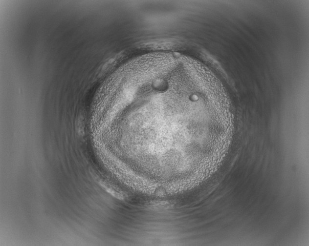 X0000080720161200701021103