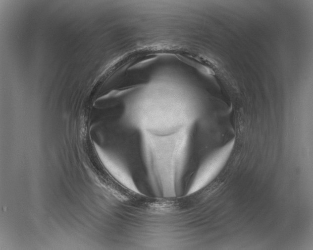 X0000080720164200701021103