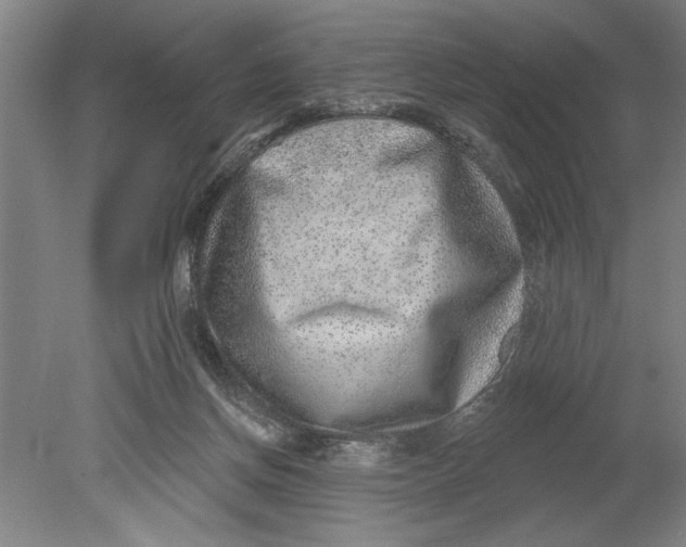 X0000080720166200701021103