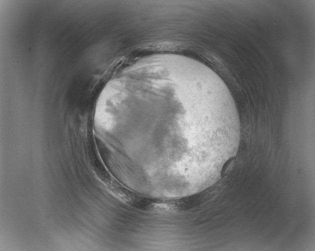 X0000080720167200701021103