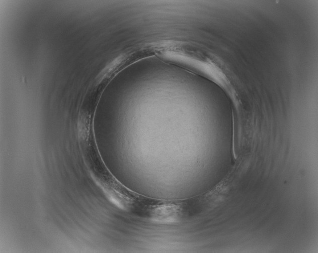 X0000080720168200701021103