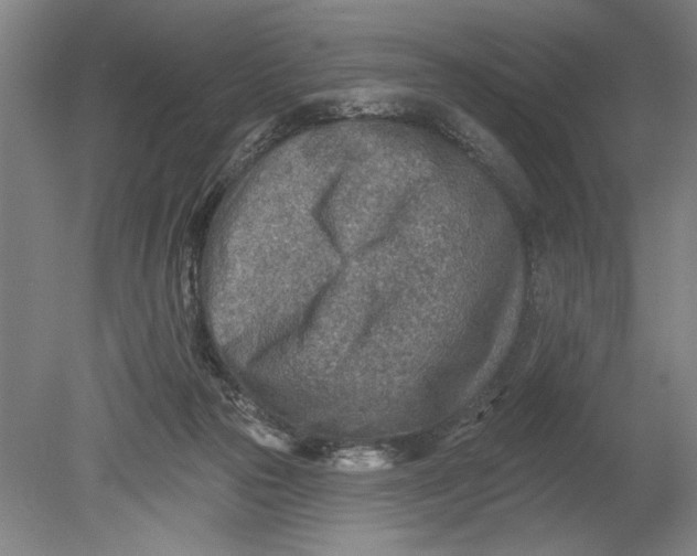 X0000080720169200701021103