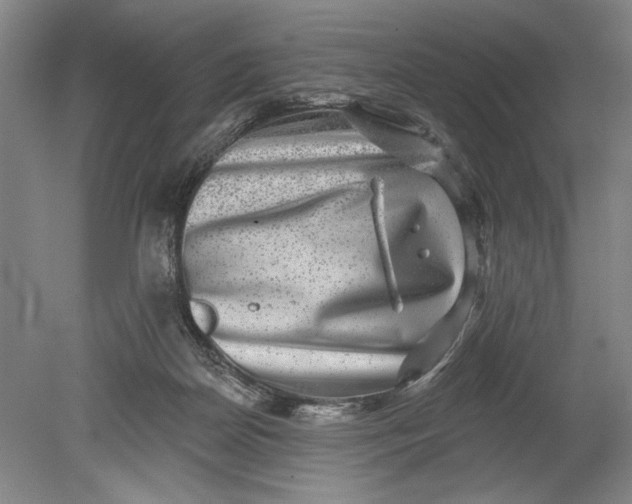 X0000080720170200701021103