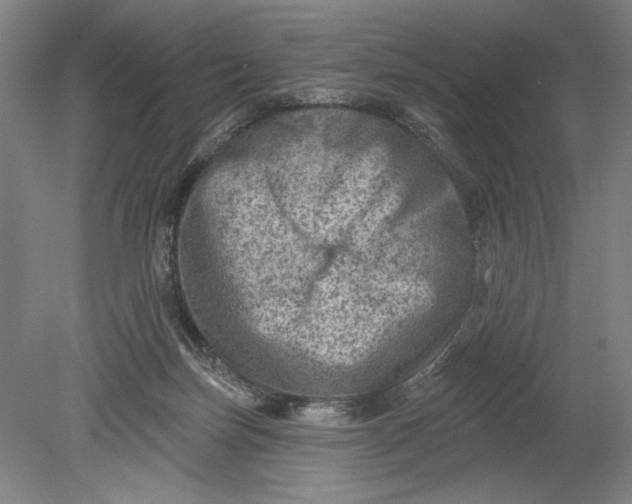 X0000080720171200701021103