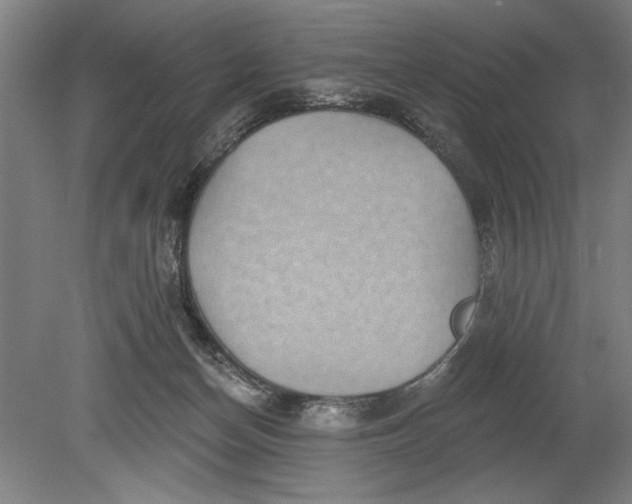 X0000080720174200701021103