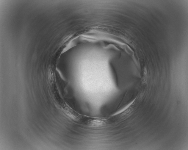 X0000080720176200701021103