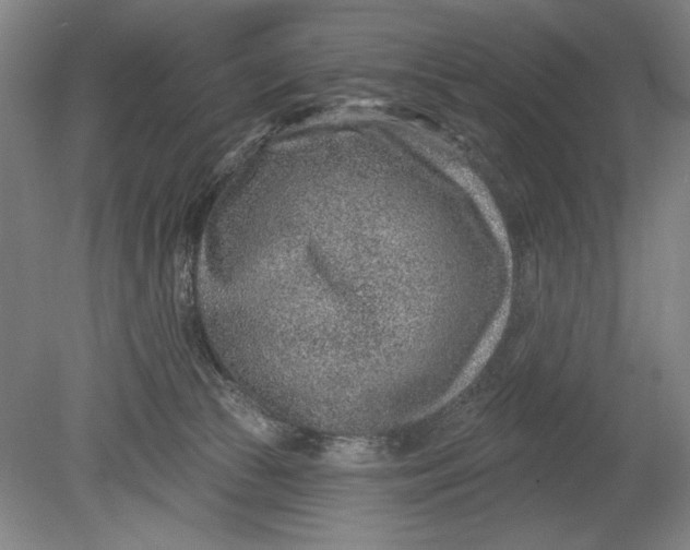 X0000080720177200701021103