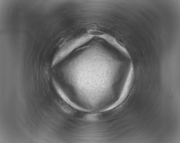 X0000080720178200701021103