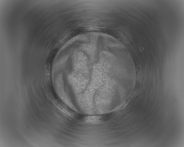 X0000080720179200701021103