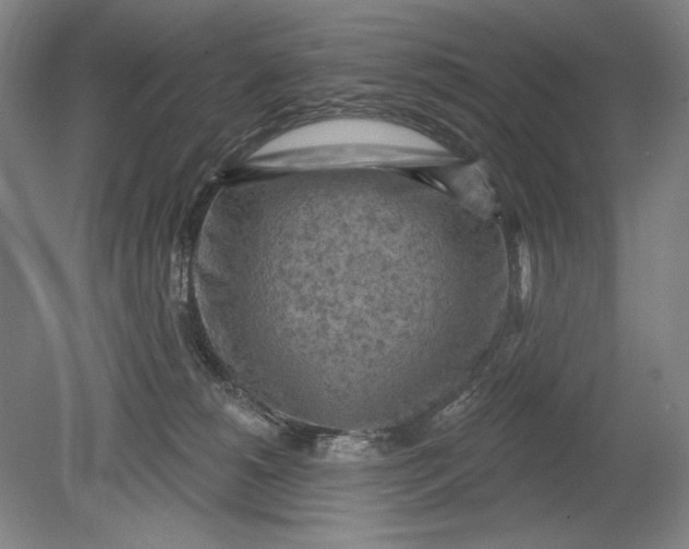 X0000080720180200701021103