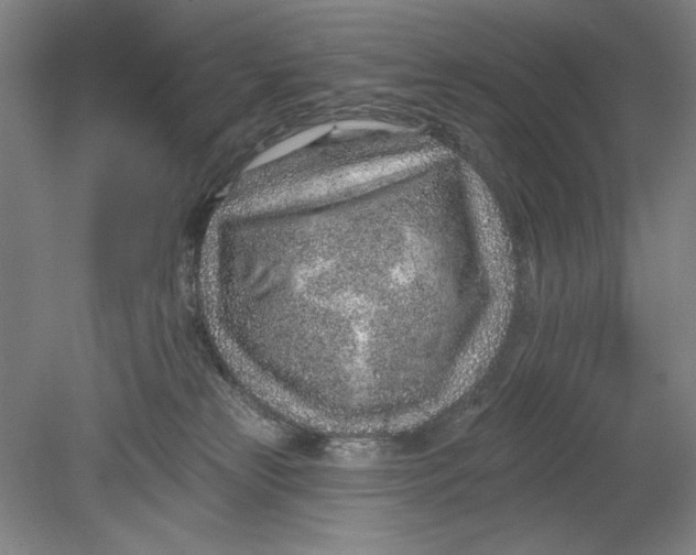 X0000080720181200701021103