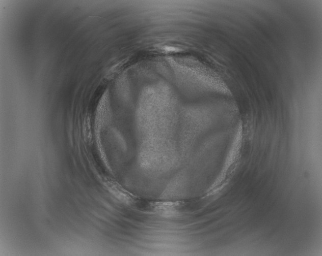 X0000080720182200701021103