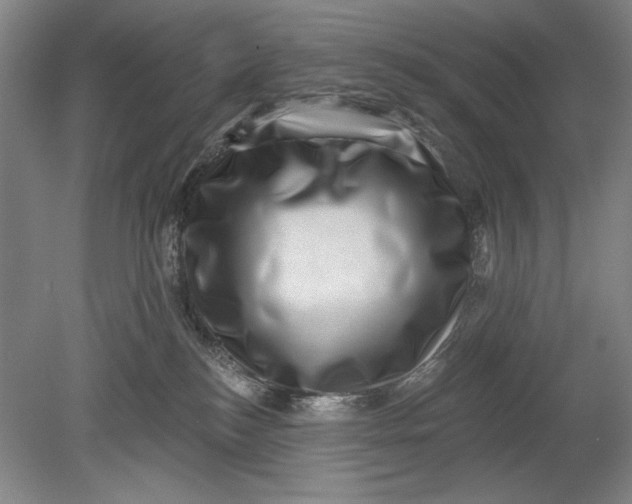 X0000080720184200701021104