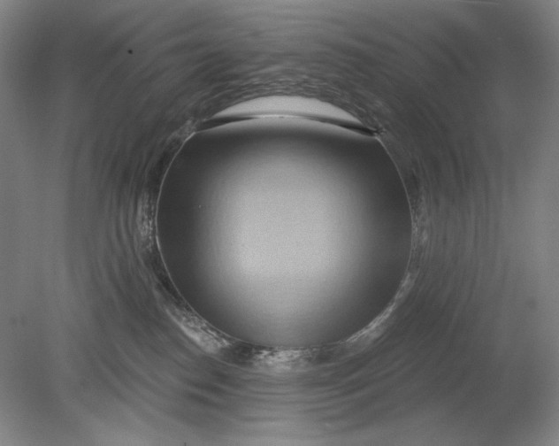 X0000080720186200701021104